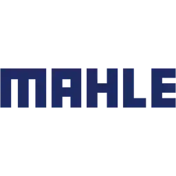 Logo mahele